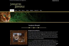 Jungle-Eyes-Bengals